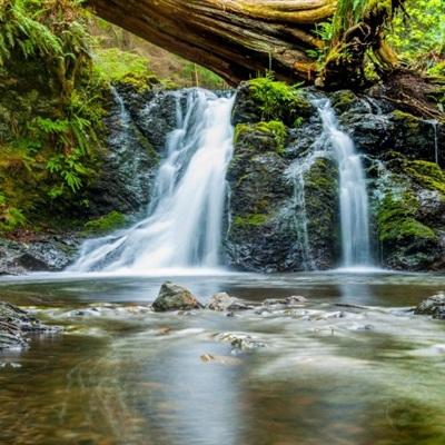 德国总统：致命错误，已丧失对美信任