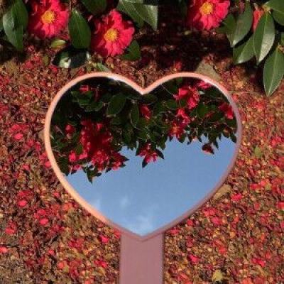 北京具身智能产业聚链成势